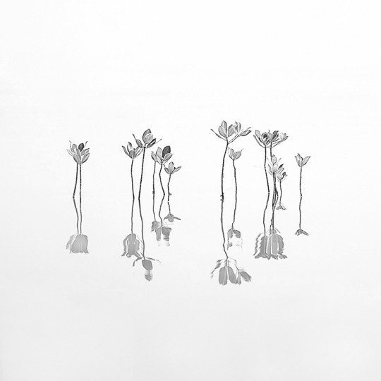 mari e monti fatti di tempo