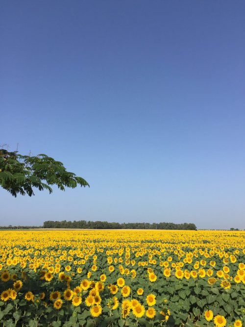 natura e natura umana